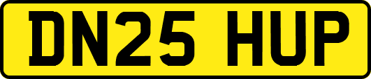 DN25HUP