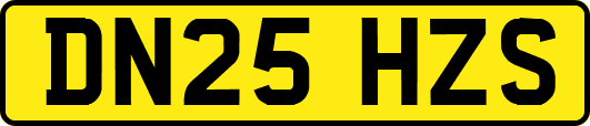 DN25HZS