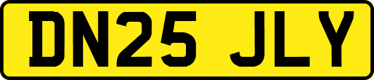 DN25JLY