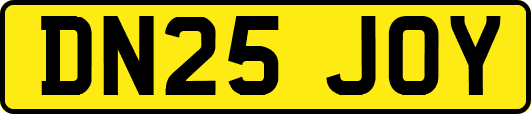 DN25JOY