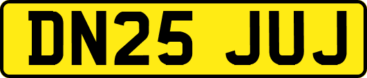 DN25JUJ