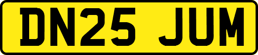 DN25JUM