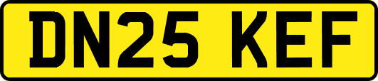DN25KEF