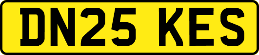 DN25KES