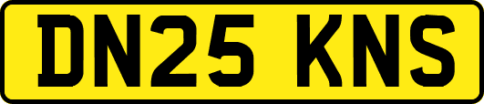 DN25KNS