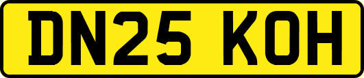 DN25KOH