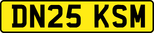 DN25KSM