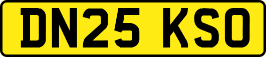 DN25KSO