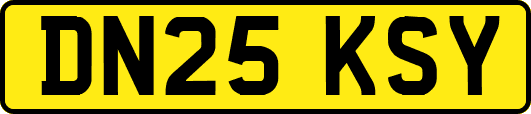 DN25KSY