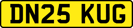 DN25KUG