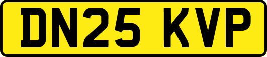 DN25KVP