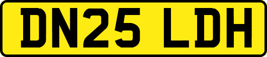 DN25LDH