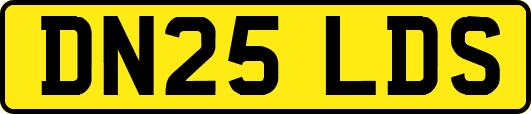 DN25LDS