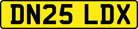 DN25LDX
