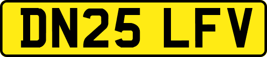 DN25LFV