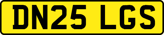 DN25LGS