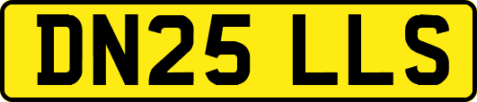 DN25LLS