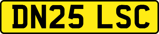DN25LSC