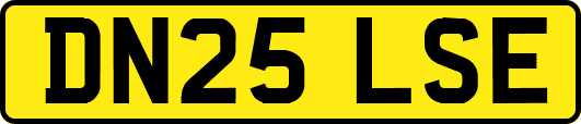 DN25LSE