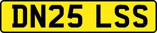 DN25LSS