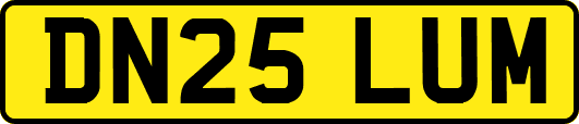 DN25LUM