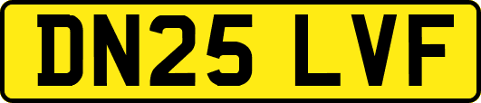 DN25LVF