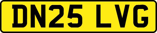 DN25LVG