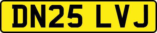 DN25LVJ
