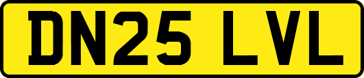 DN25LVL