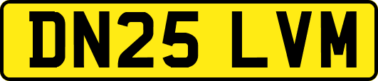 DN25LVM
