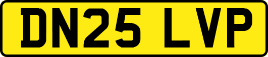 DN25LVP
