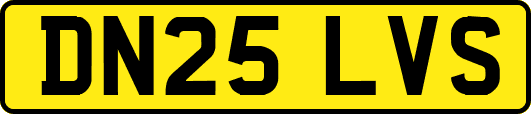 DN25LVS