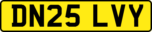 DN25LVY