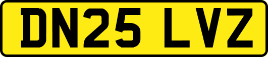 DN25LVZ