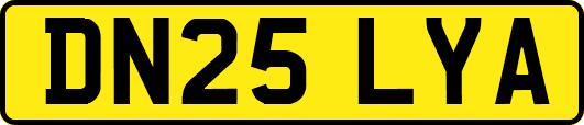DN25LYA