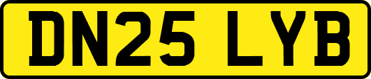 DN25LYB