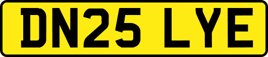 DN25LYE