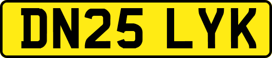 DN25LYK