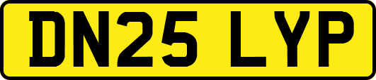 DN25LYP