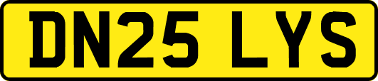 DN25LYS