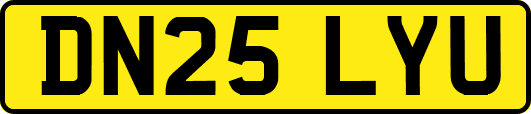 DN25LYU