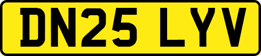 DN25LYV