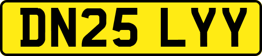 DN25LYY
