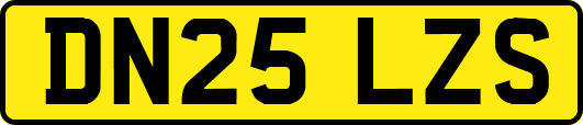 DN25LZS