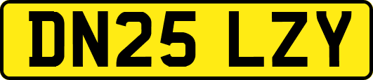 DN25LZY
