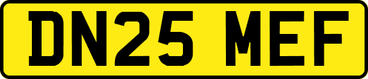 DN25MEF