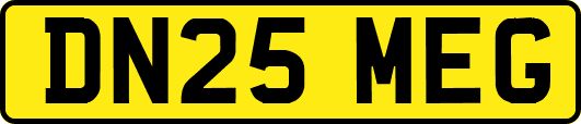 DN25MEG