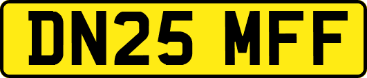 DN25MFF