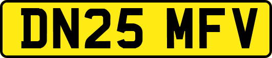 DN25MFV