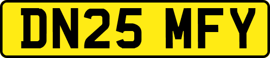DN25MFY